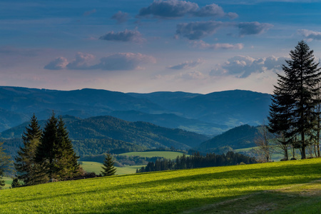 Ausblick vom Panoramaweg zwischen St. Peter und St. M�rgen
